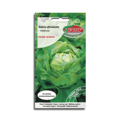 SAŁATA MASŁOWA EWELINA Nasiona